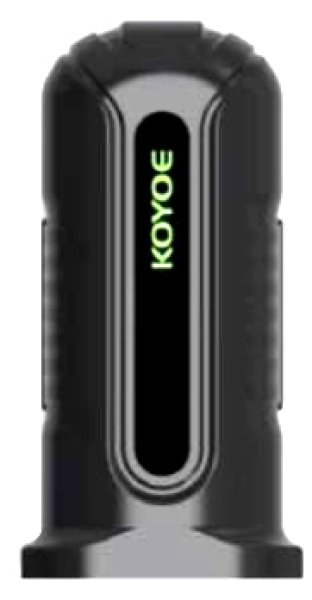 WIFI Stick für Netz Wechselrichter